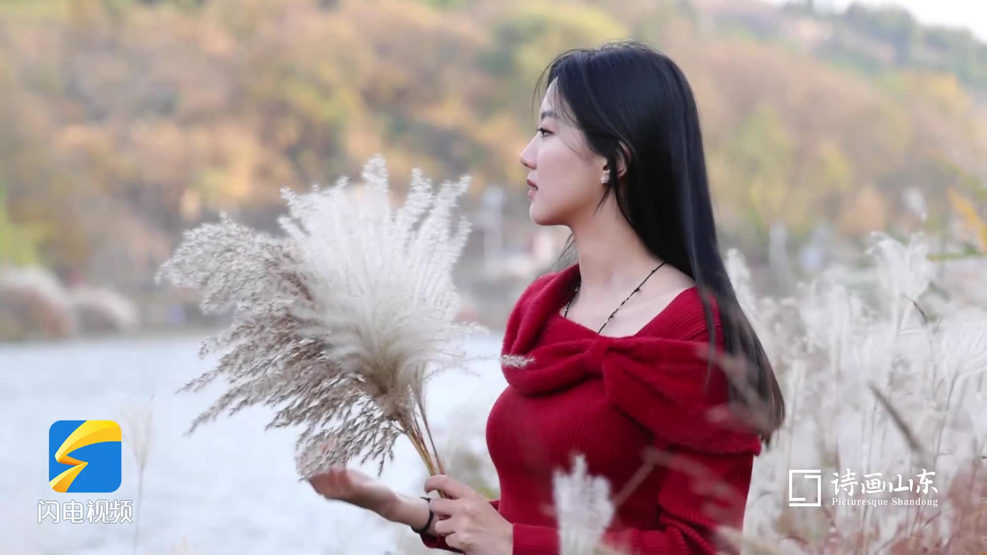 诗画山东丨枣庄：后峪水库芦苇悠悠 绝美景色邀您打卡