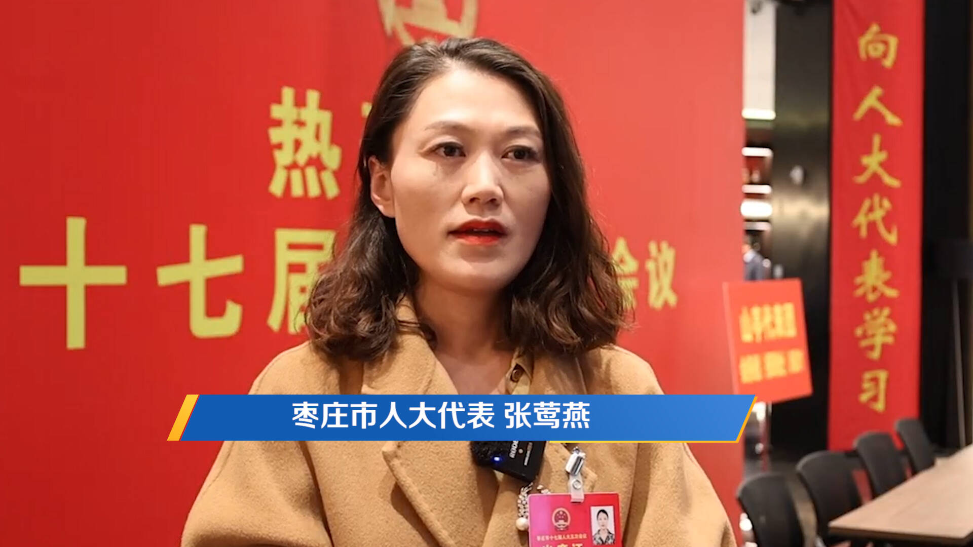 枣庄市人大代表张莺燕：加大文物保护管理力度 深入挖掘文物价值