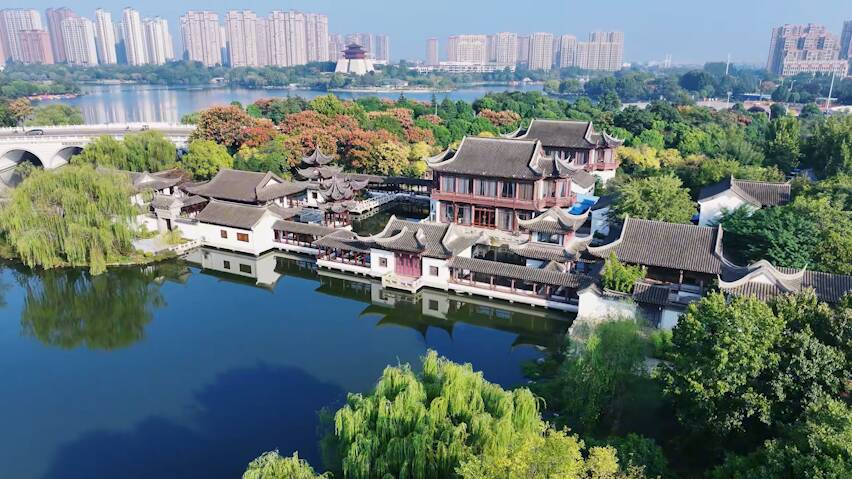 枣庄市市中区：秋意渐浓栾树换“新衣” 赏景正当时