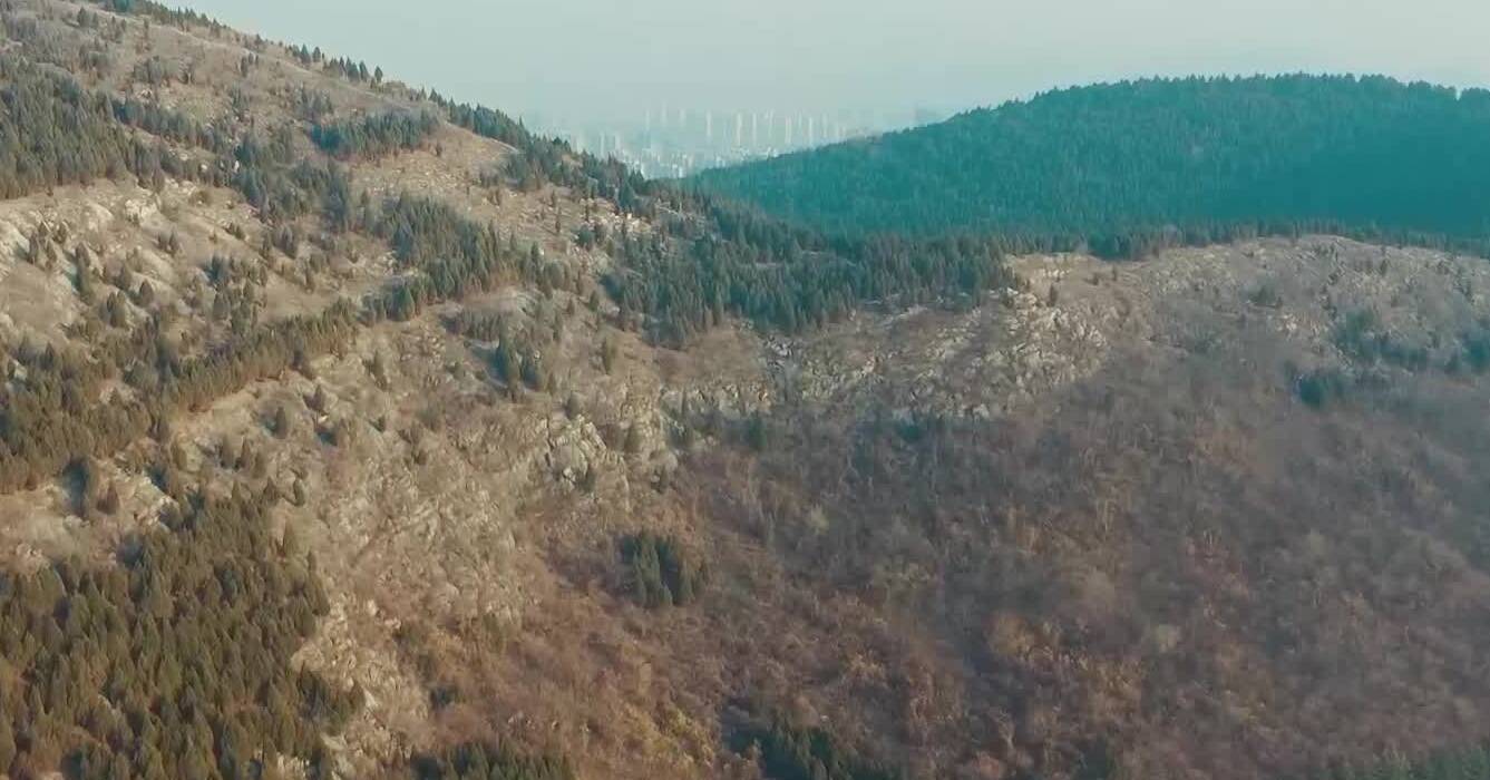 诗画山东｜枣庄袁寨山松柏青翠  盘山路宛如玉带绕山间